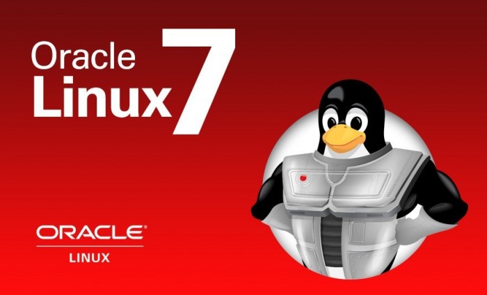 oracle-enterprise-linux-7-5-debuts-with-unbreakable-enterprise-kernel-release-4-520750-2.jpg